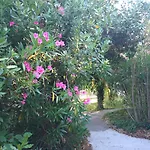 호텔 La Chaumiere D