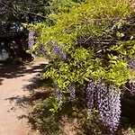 호텔 La Chaumiere D 아그