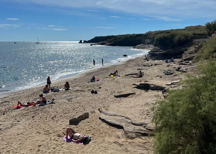 La Chaumiere D 호텔 2*