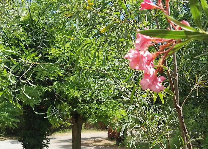 호텔 La Chaumiere D 아그