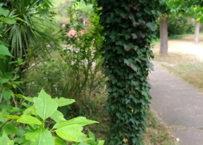 La Chaumiere D 아그