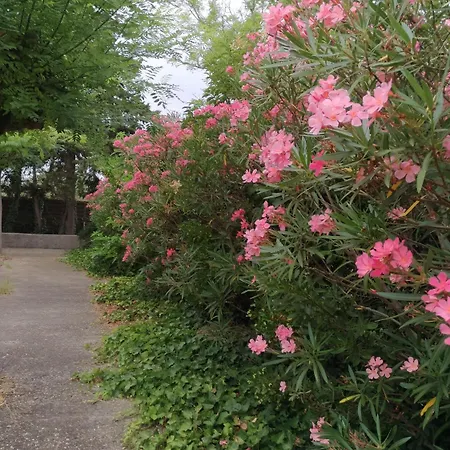 Otel La Chaumiere D Agde